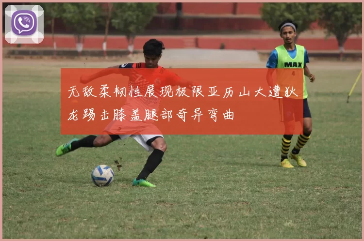 无敌柔韧性展现极限亚历山大遭狄龙踢击膝盖腿部奇异弯曲
